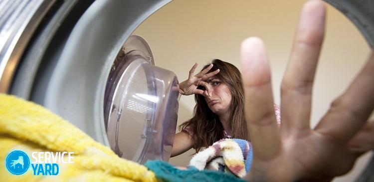 Плесень на одежде — удаляем домашними средствами