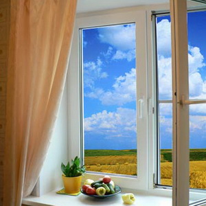 Плесень на откосах пластиковых окон