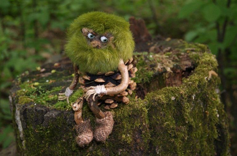 Поделки из шишек своими руками: самые интересные варианты Поделки из шишек своими руками: самые интересные варианты