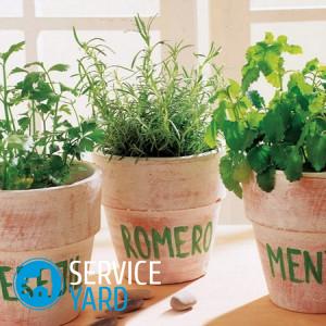 Полка для рассады на подоконнике своими руками