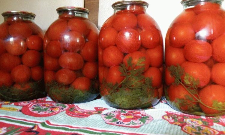 Помідори з аспірином під залізною кришкою: 2 смачні рецепти на 3 літрову банку — гарячий та холодний спосіб консервації