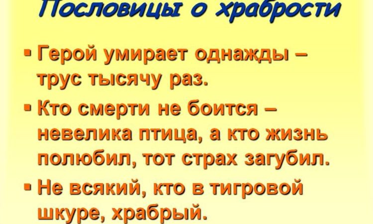 Пословицы о храбрости: 50 поговорок со смыслом ✍