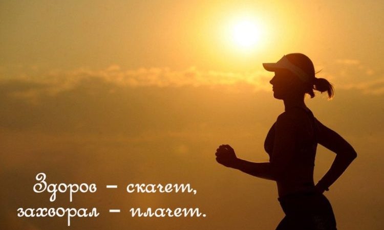 Пословицы про человека: 50 поговорок со смыслом ✍