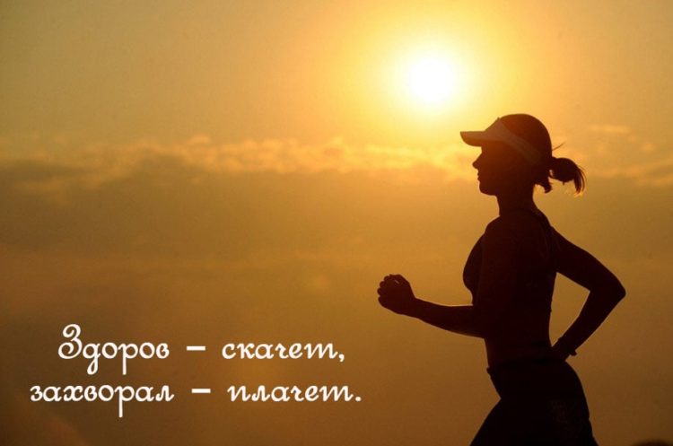 Пословицы про человека: 50 поговорок со смыслом ✍