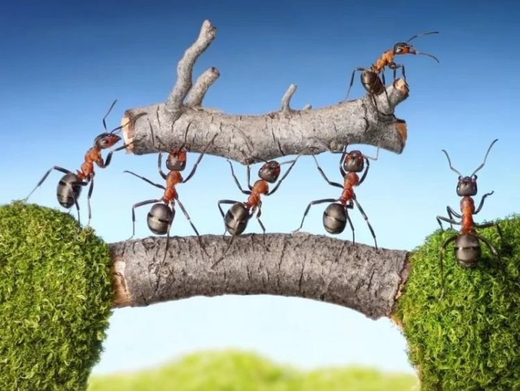 Пословицы про труд: 50 поговорок со смыслом ✍