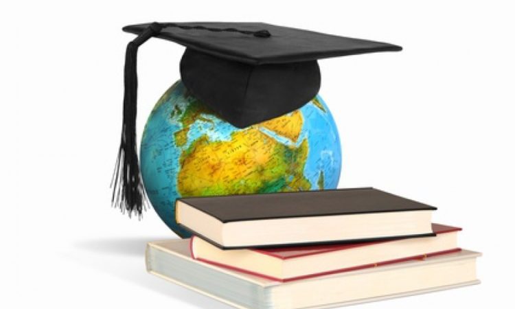 Пословицы про учение: 50 поговорок со смыслом ✍