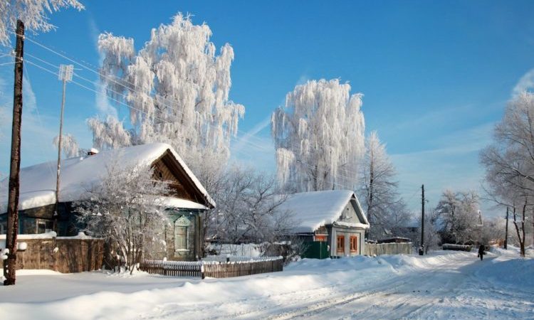 Пословицы про зиму: 50 поговорок со смыслом ✍