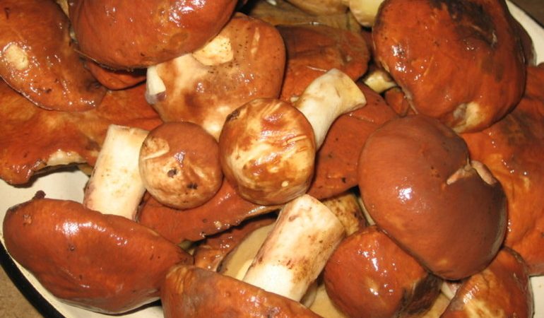 Правила чистки грибов маслят в домашних условиях