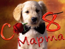 Прикольні поздоровлення з 8 Березня