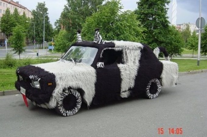 Приколи на дорогах: добірка смішних фото і відео