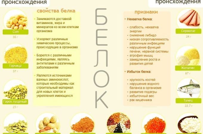 Продукти харчування з високим вмістом білка: список. Недолік або надлишок білка в організмі: симптоми і наслідки
