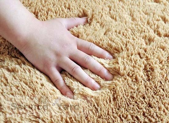 Профессиональные средства для чистки ковров