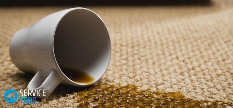 Пятна от кофе — как вывести?