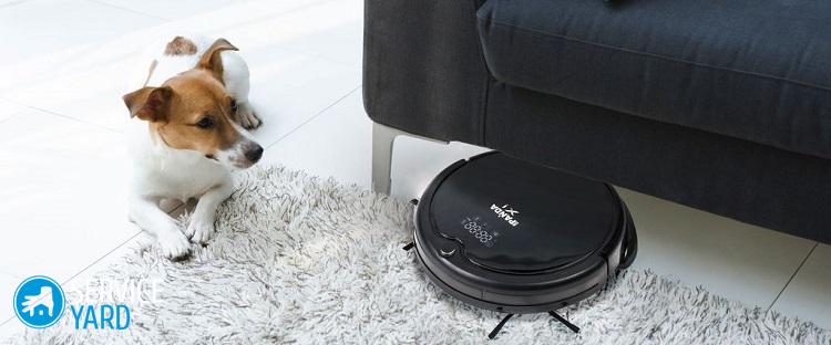 Пылесос для уборки шерсти домашних животных?