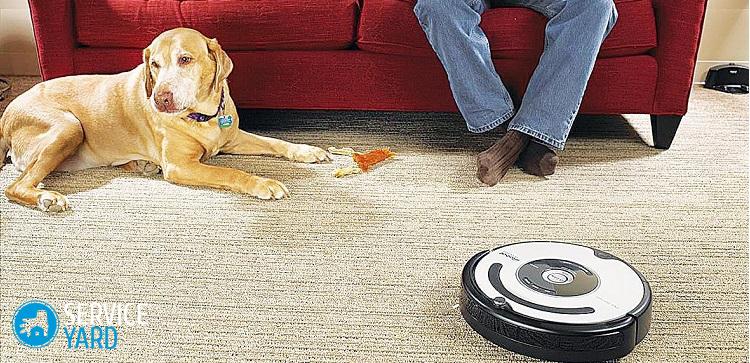 Пылесос для уборки шерсти домашних животных?