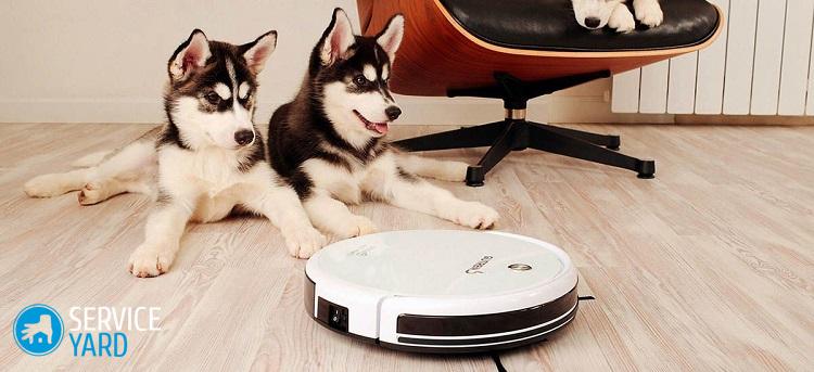 Пылесос для уборки шерсти домашних животных?