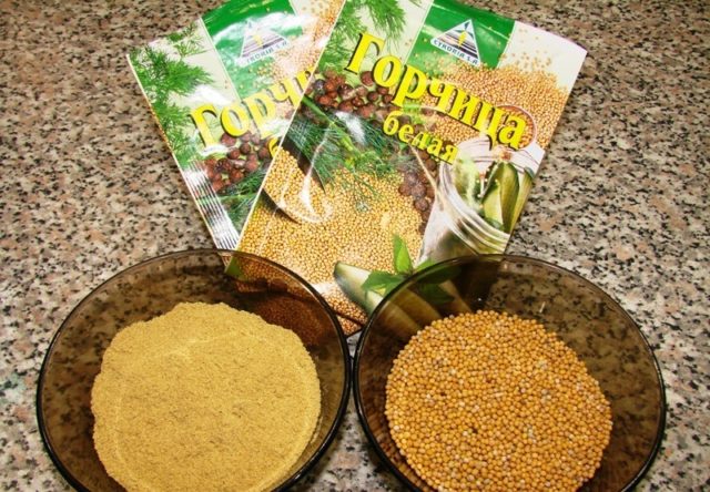 Рецепти огірків з гірчицею на зиму: часточками, різані, мариновані, консервовані, салати, соління