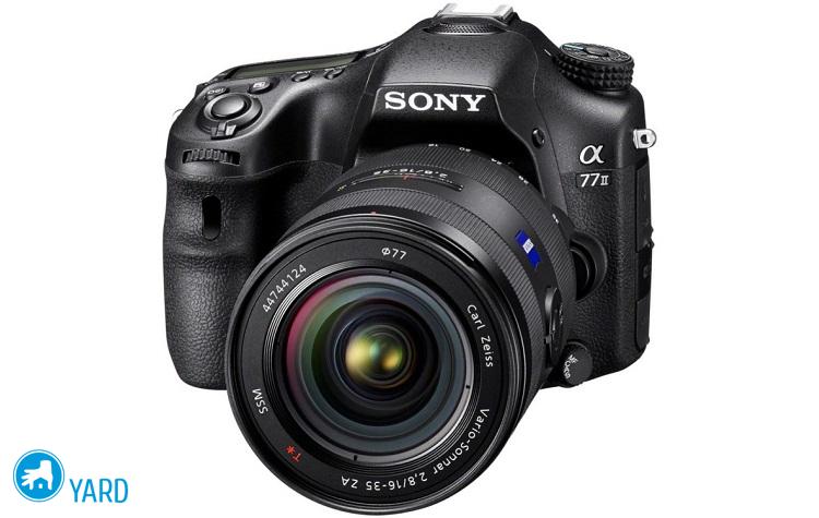 Рейтинг фотоаппаратов с обзором и описанием моделей