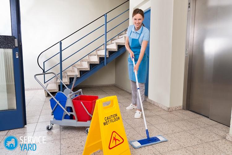 Рейтинг лучших средств для уборки дома