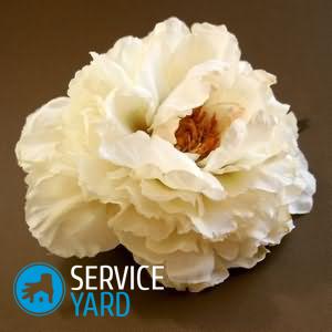 Розы из гофрированной бумаги своими руками пошагово