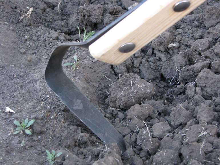 Рыхлитель для огорода: плоскорез Фокина своими руками