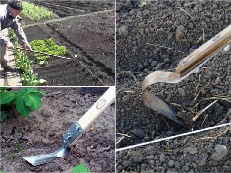 Рыхлитель для огорода: плоскорез Фокина своими руками