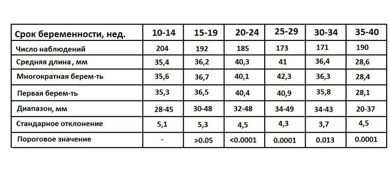 Шийка матки при вагітності — симптоми і ознаки патологій, діагностика, методи лікування, профілактика