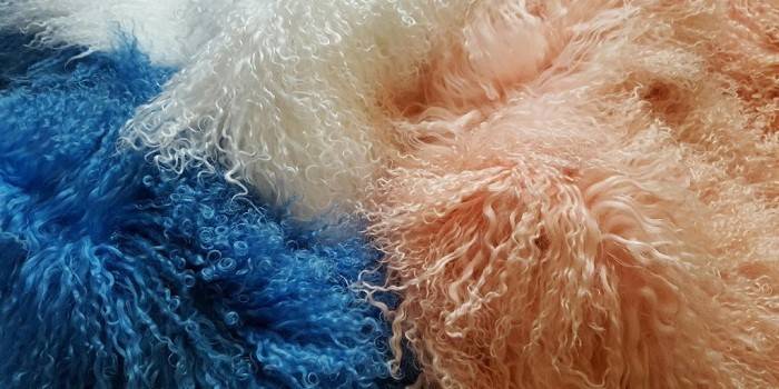 Шуба з лами: як вибрати і де купити виріб з хутра