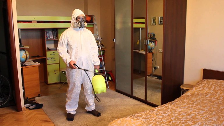 Сколько дней живут и размножаются блохи