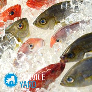 Сколько можно хранить рыбу в холодильнике?