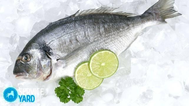 Сколько можно хранить рыбу в холодильнике?