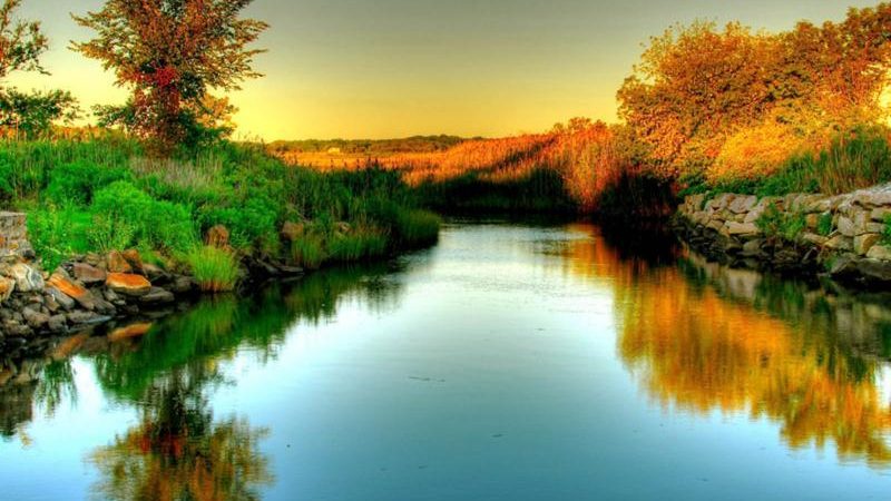 Сонник – бачити в сні річку: значення сну. До чого сниться ходити, пірнати, плавати, плавати, тонути у річці, чоловікові, жінці: тлумачення сну