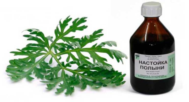 Способы применения полыни от блох в доме Способы применения полыни от блох в доме