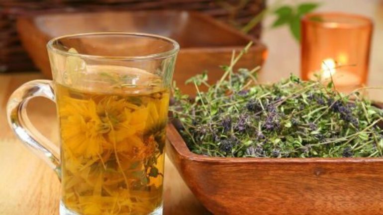 Способы применения полыни от блох в доме Способы применения полыни от блох в доме