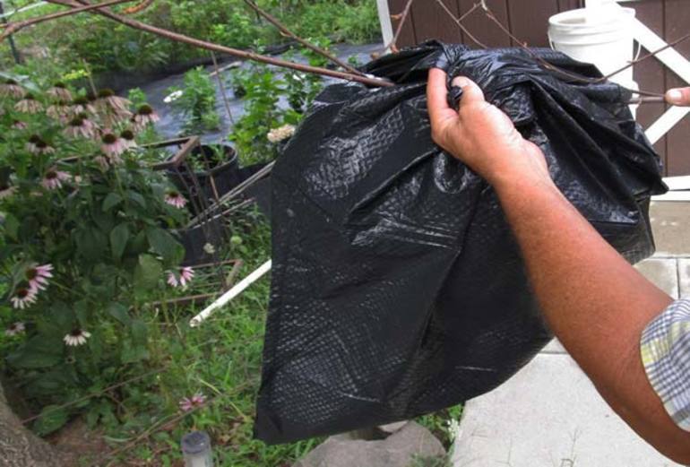 Способы самостоятельного выведения ос из-под крыши частного дома Способы самостоятельного выведения ос из-под крыши частного дома