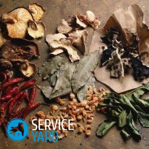 Сушилка для грибов своими руками