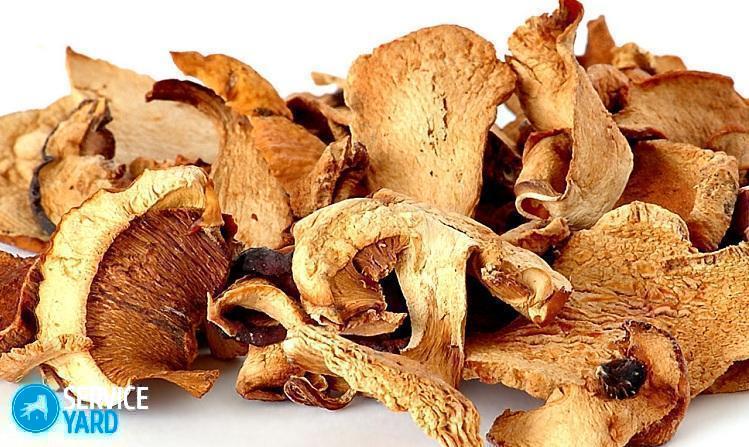 Сушилка для грибов своими руками