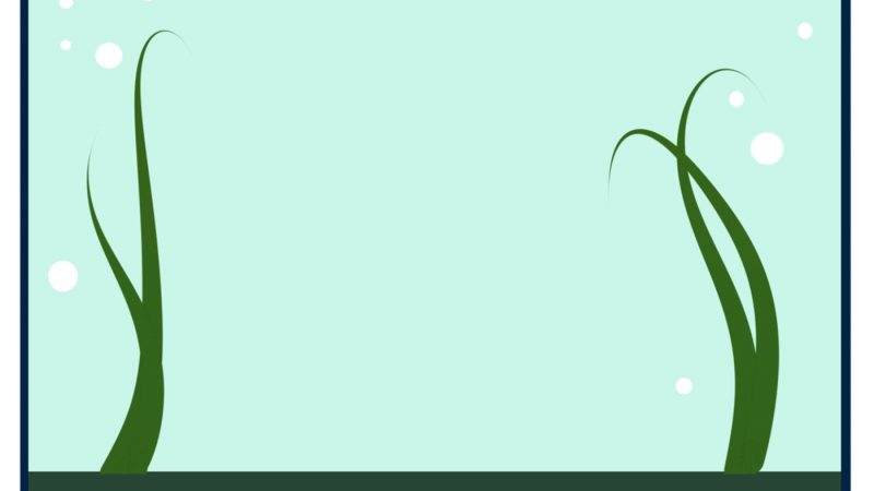 Тематична добірка ігор та вправ для дітей раннього віку на тему «Рибки»