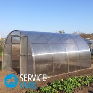 Теплица-хлебница своими руками — чертежи