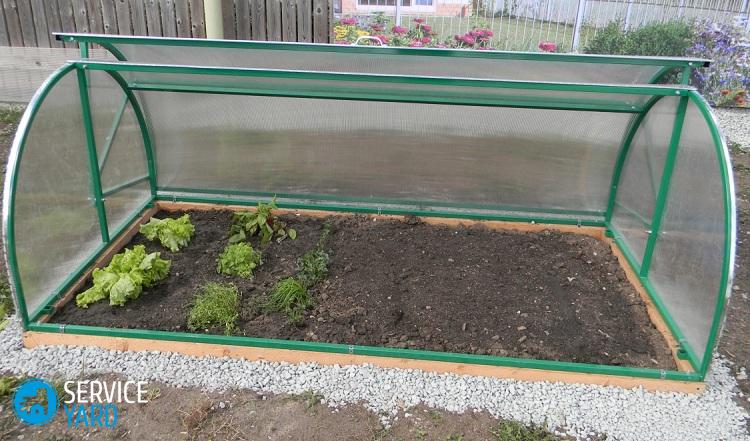 Теплица-хлебница своими руками — чертежи