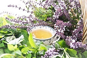 Трави для схуднення спалюють жир: відгуки, рецепти, як приймати Трави для схуднення спалюють жир: відгуки, рецепти, як приймати