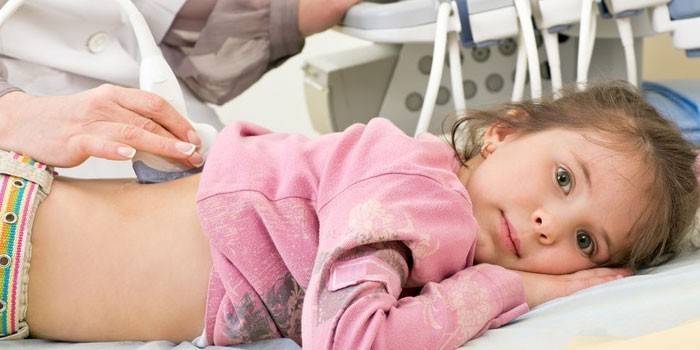 УЗД нирок — як проводиться і показує. Підготовка до ультразвукового дослідження нирок і розшифровка