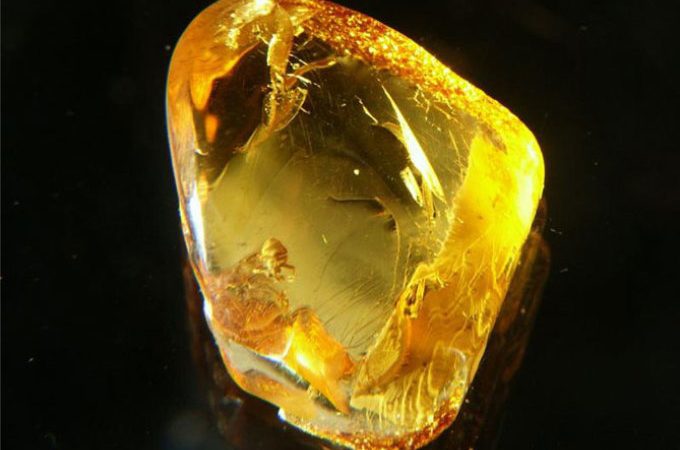 Відмінності між натуральним і підробленим бурштином: ознаки підробки бурштину, на що звертати увагу при виборі бурштину та виробів з каменем?