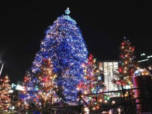 Вірші про ялинці, новорічній ялинці