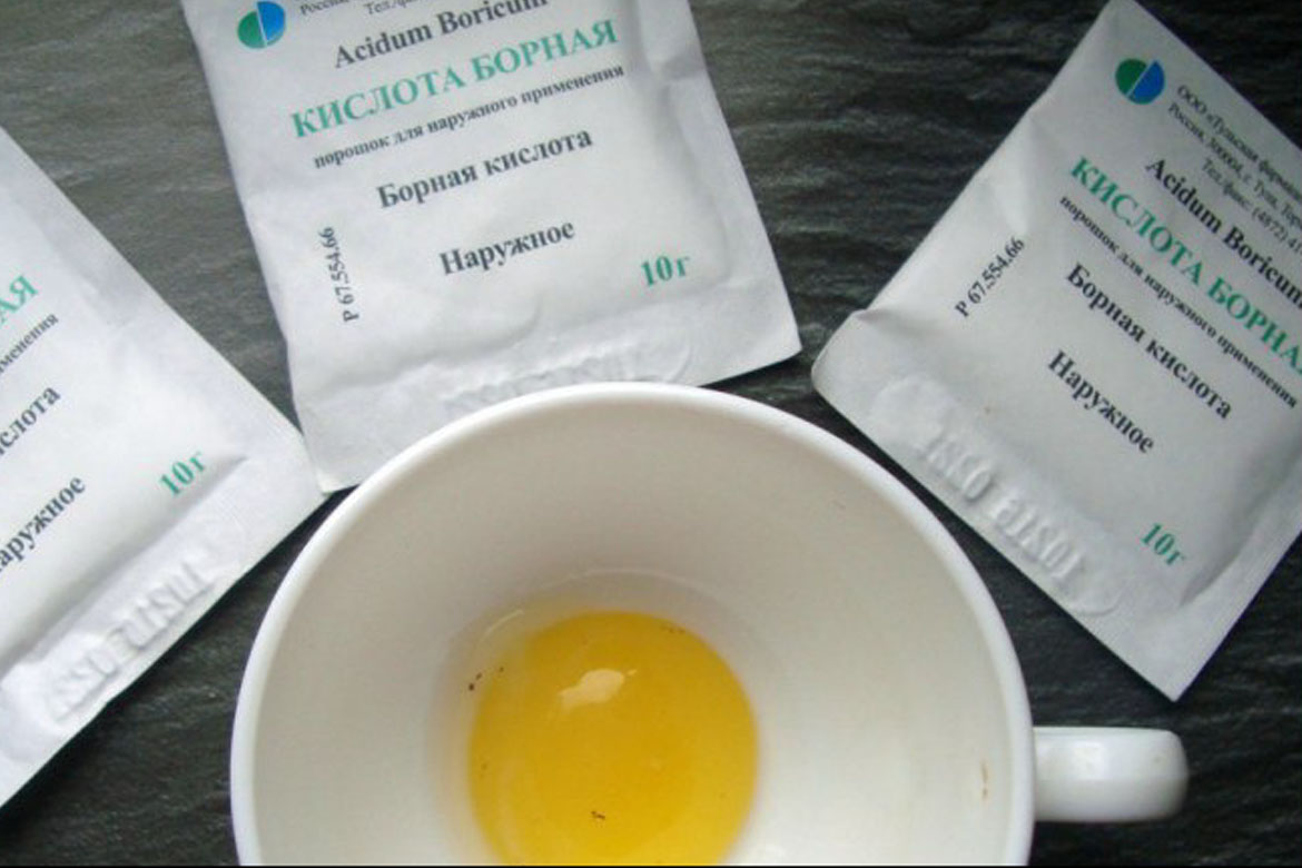 В ванной насекомые: завелись белые или прозрачные и быстро бегают