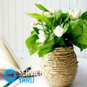 Ваза из пластиковой бутылки своими руками