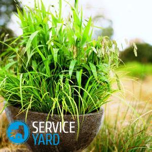 Вазоны для цветов своими руками