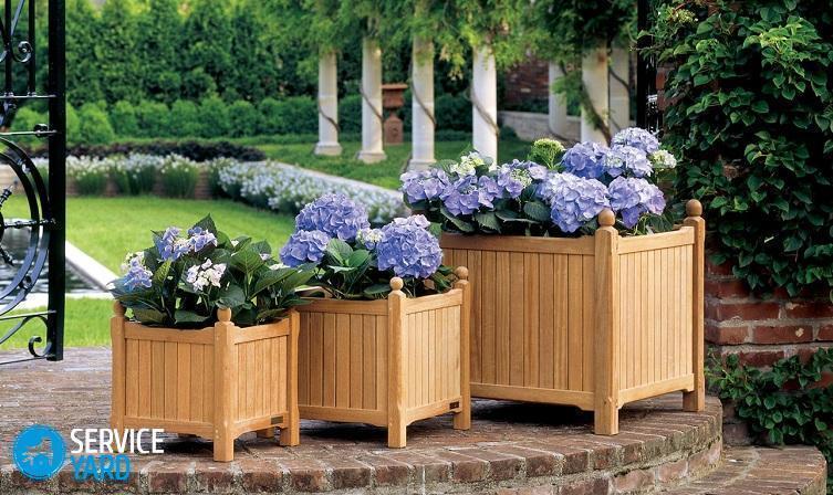 Вазоны для цветов своими руками