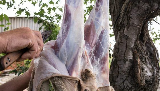 Вичинка овечої шкіри в домашніх умовах: опис