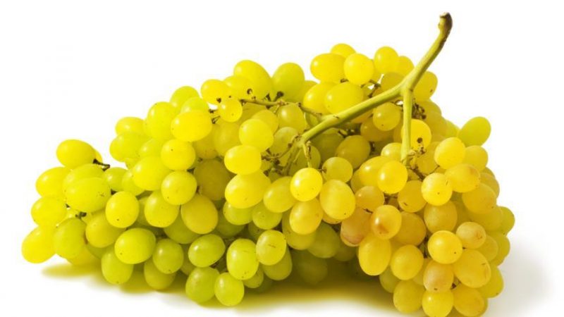 Виноград кишмиш: корисні властивості, вітаміни, калорійність, кількість цукру. Чим корисний виноград кишмиш для вагітних, підвищує він цукор в крові?